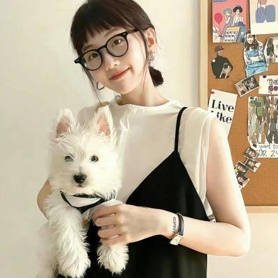 一帮坏家伙