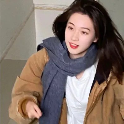 光荣之路上的狗